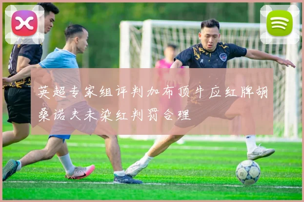英超专家组评判加布顶牛应红牌胡桑诺夫未染红判罚合理